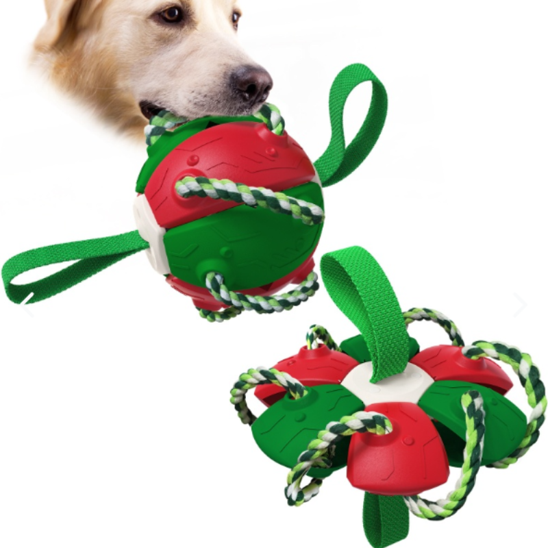 Pelota Fresbee Para Perros