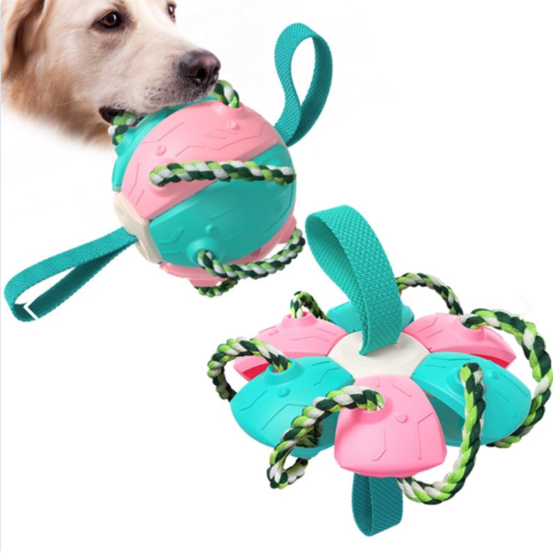 Pelota Fresbee Para Perros